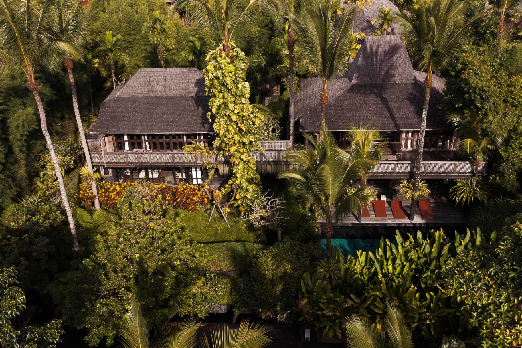 Private jungle estate at dawn, infinity pool