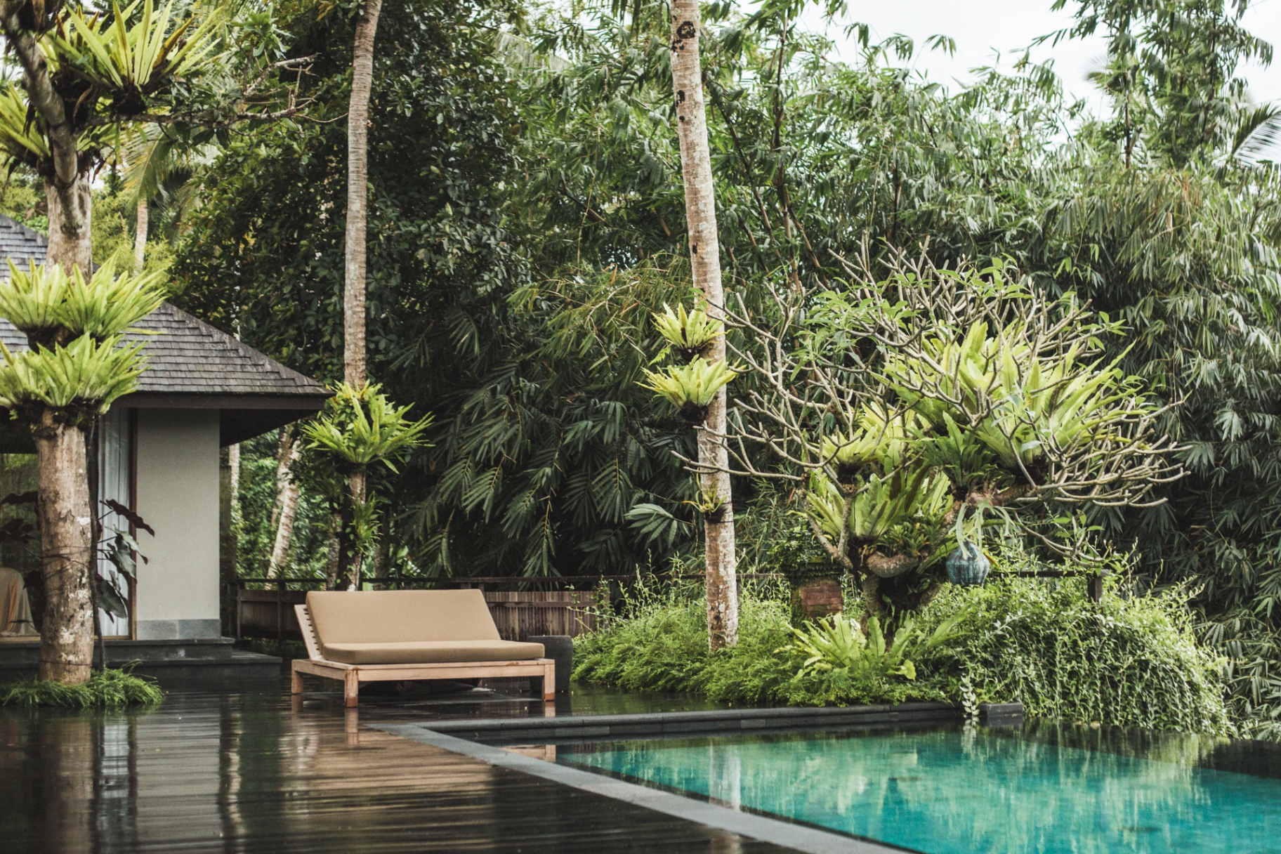 Bamboo pavilion, yoga at dawn